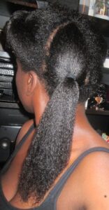 2015.05.15 pony tail