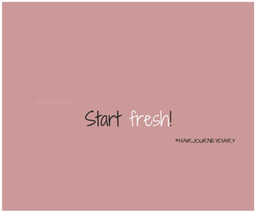 hairjourneydiary-1-nieuwe-versie