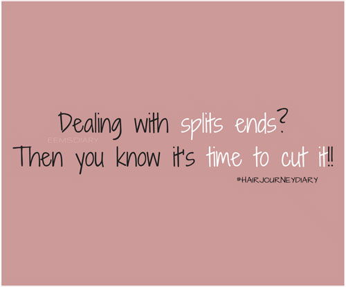 hairjourneydiary-3-nieuwe-versie